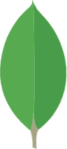 MongoDB